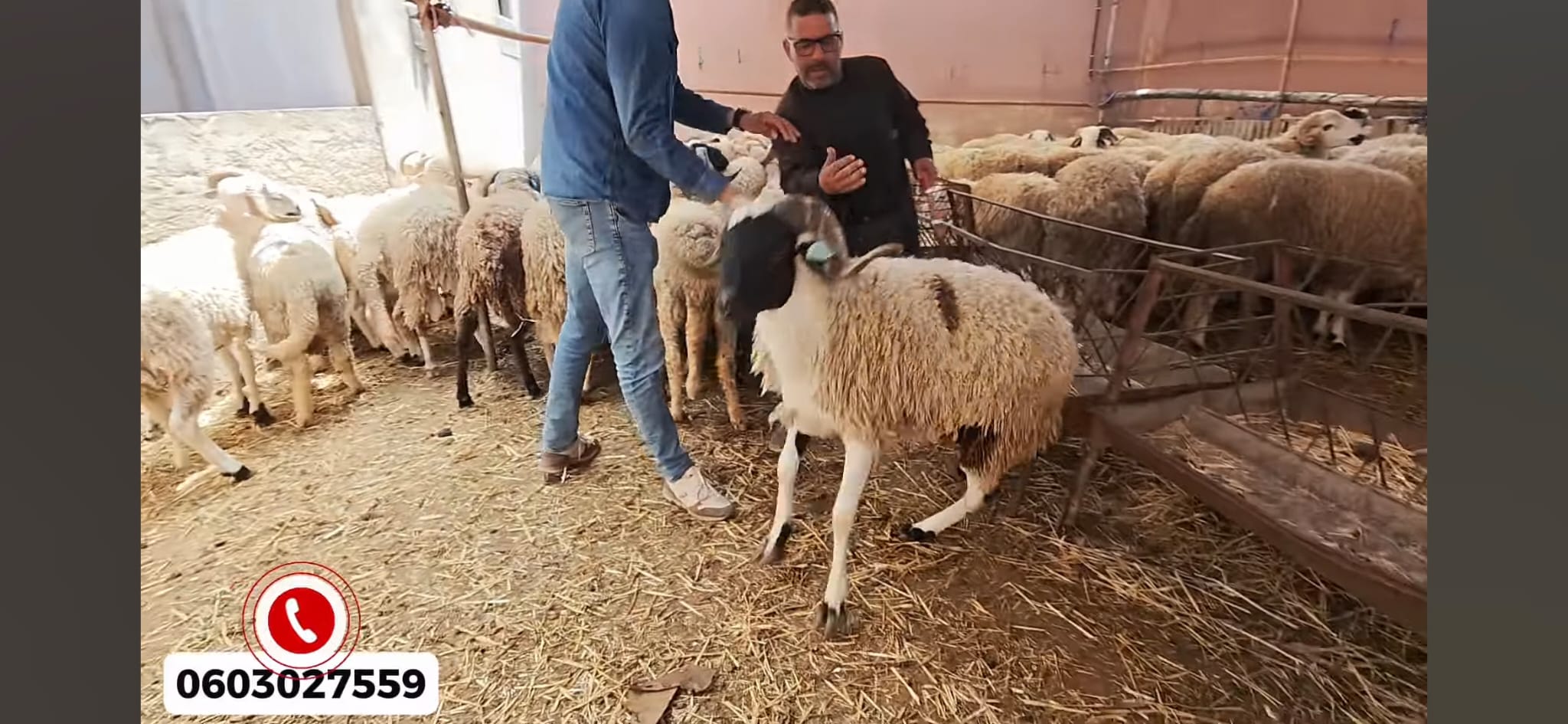 ضيعة الأخوين قلبوز عبدالواحد أو ابراهيم 